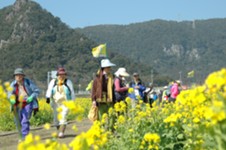 第35回いぶすき菜の花マーチ