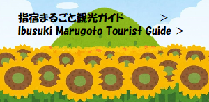 https://www.ibusuki.or.jp/info/marugoto/
